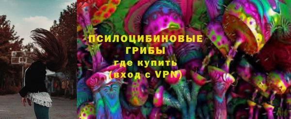 сатива Алзамай
