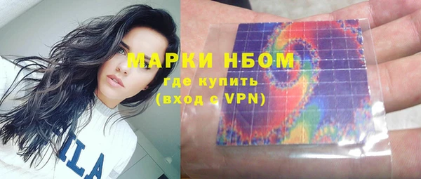 сатива Алзамай