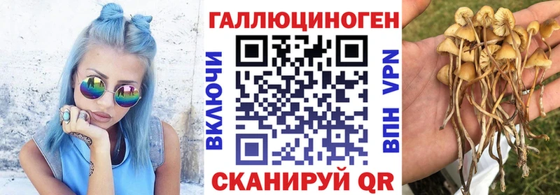 Псилоцибиновые грибы Psilocybe  купить наркотики сайты  Бирюч 